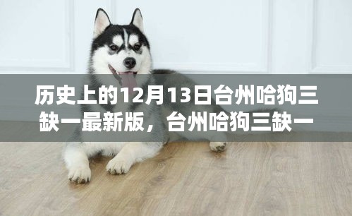 臺(tái)州哈狗三缺一的傳奇歷史，十二月十三日的回望