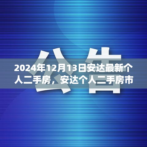 安達(dá)個(gè)人二手房市場(chǎng)深度觀察，回顧與展望（2024年12月13日）