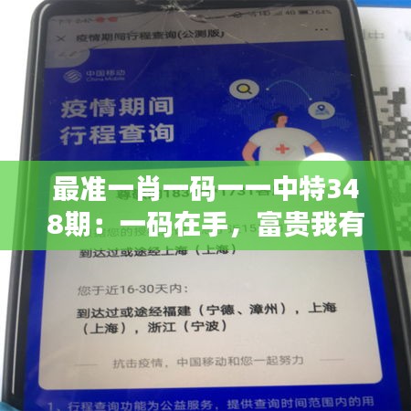 最準(zhǔn)一肖一碼一一中特348期：一碼在手，富貴我有