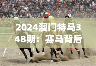 2024澳門特馬348期：賽馬背后的經(jīng)濟與文化價值
