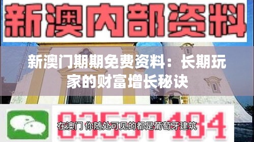 新澳門期期免費資料：長期玩家的財富增長秘訣
