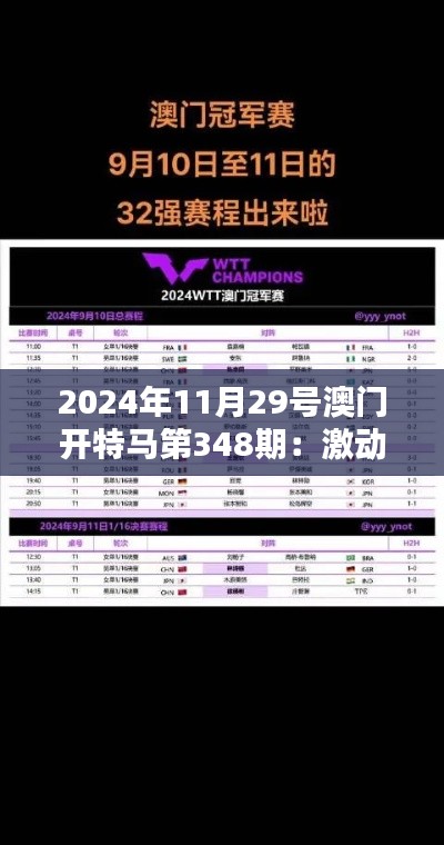 2024年11月29號澳門開特馬第348期：激動人心的競逐時刻