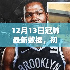 12月13日冠肺最新數(shù)據(jù)解析與應用指南，初學者與進階用戶適用