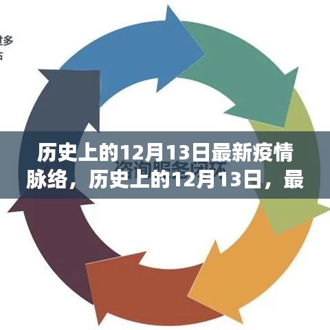 歷史上的12月13日疫情深度解析與個(gè)人觀點(diǎn)，最新疫情脈絡(luò)回顧