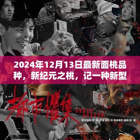 新紀(jì)元之桃，新型面桃品種的誕生與影響揭秘