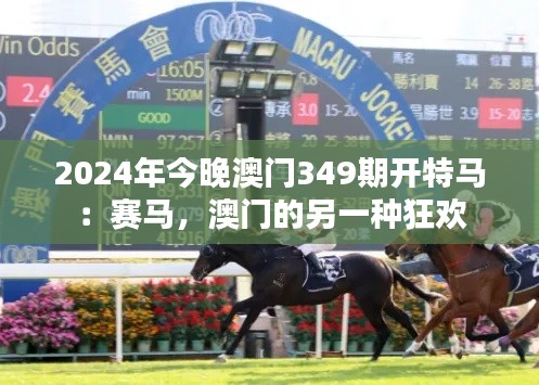 2024年今晚澳門349期開特馬：賽馬，澳門的另一種狂歡