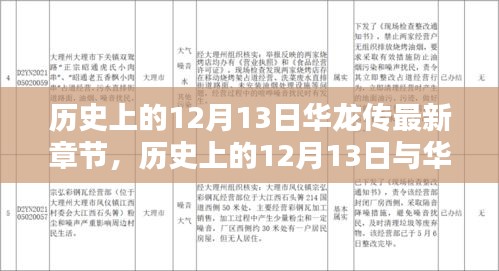 歷史上的12月13日與華龍傳最新章節(jié)，深度探討某觀點揭秘
