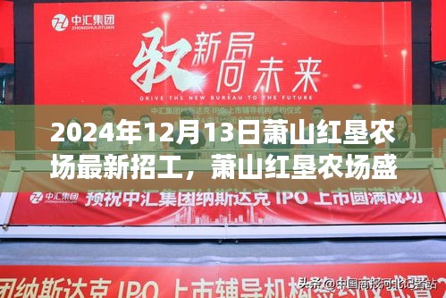 蕭山紅墾農(nóng)場盛大招工啟事，挑戰(zhàn)最新崗位，開啟職業(yè)新篇章（2024年）