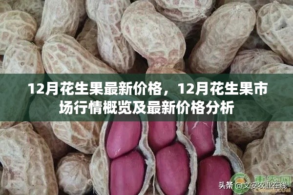 最新價(jià)格