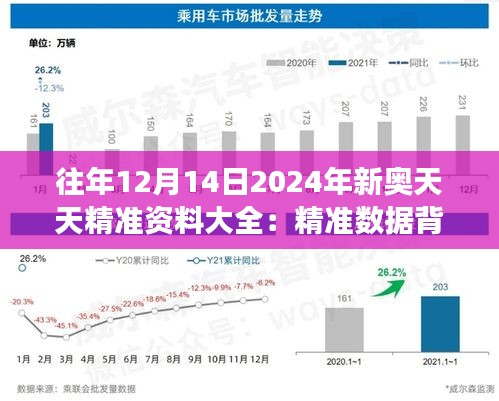 往年12月14日2024年新奧天天精準(zhǔn)資料大全：精準(zhǔn)數(shù)據(jù)背后的市場洞察