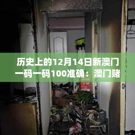 歷史上的12月14日新澳門一碼一碼100準確：澳門賭場中的數字巧合與人生奇跡