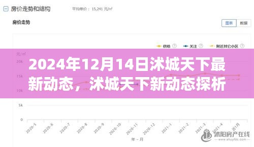 最新動態(tài)解析