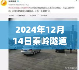 深度解析，秦嶺隧道車禍事故原因與救援進展的最新進展報告（2024年12月14日更新）