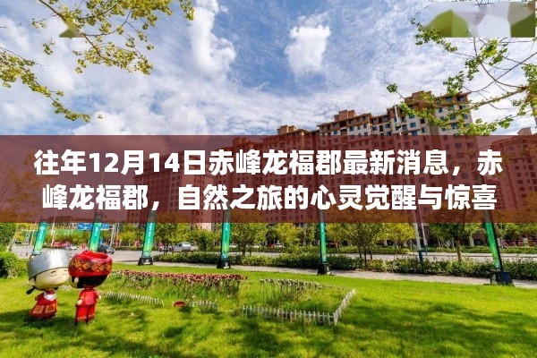 驚喜之旅