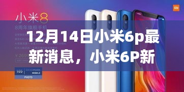小米6P新篇章，溫馨日常中的驚喜與陪伴（最新消息）