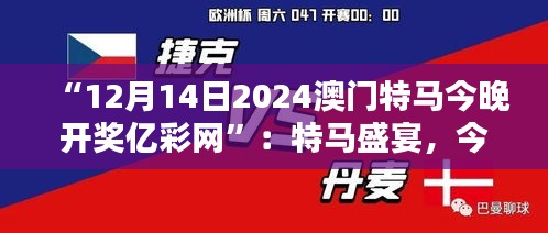 “12月14日2024澳門特馬今晚開獎億彩網(wǎng)”：特馬盛宴，今晚揭曉
