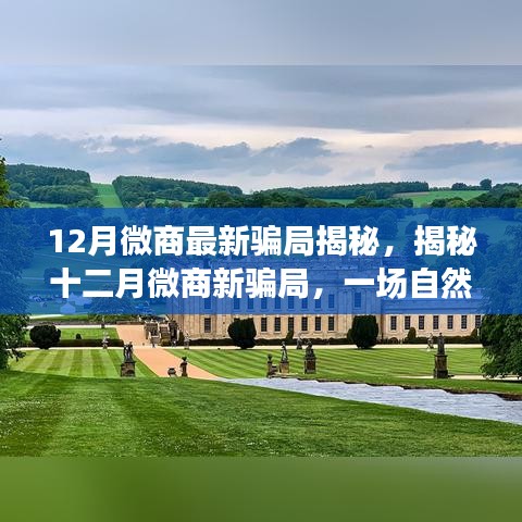 揭秘十二月微商新騙局，自然美景之旅探尋內(nèi)心平靜之道