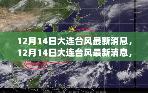 12月14日大連臺風最新消息，全方位解讀風勢影響與應(yīng)對措施