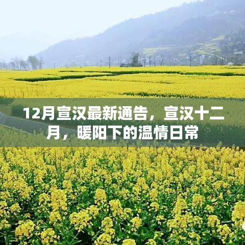 宣漢十二月暖陽(yáng)下的溫情日常通告