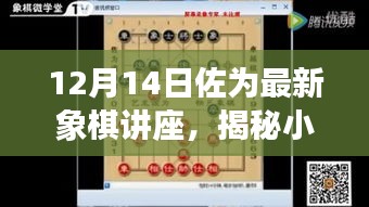揭秘象棋天地，佐為最新象棋講座之旅（12月14日）