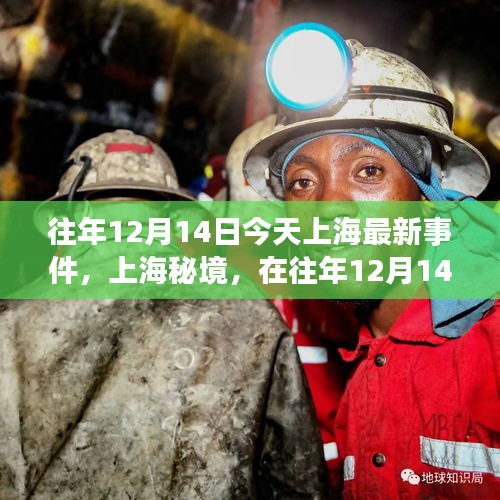 上海秘境，探尋內(nèi)心寧?kù)o的自然之旅——?dú)v年十二月十四日事件回顧