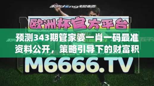 預(yù)測343期管家婆一肖一碼最準(zhǔn)資料公開，策略引導(dǎo)下的財(cái)富積累
