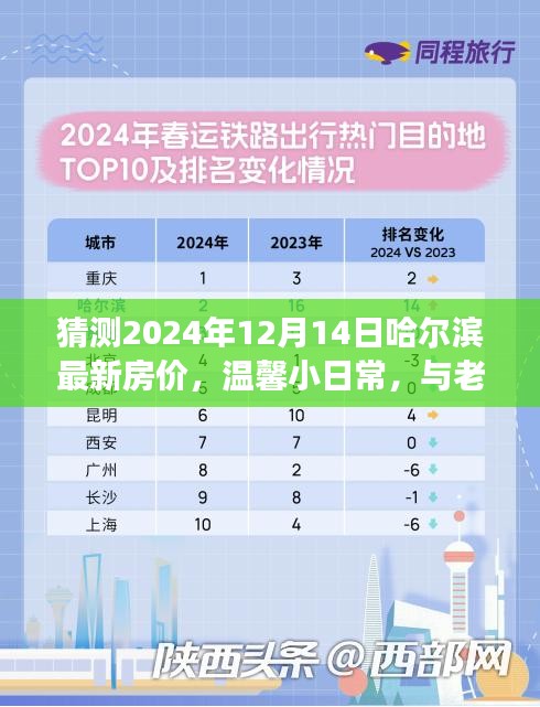哈爾濱房價預測，溫馨日常與老友共話未來，展望哈爾濱房價小趣事
