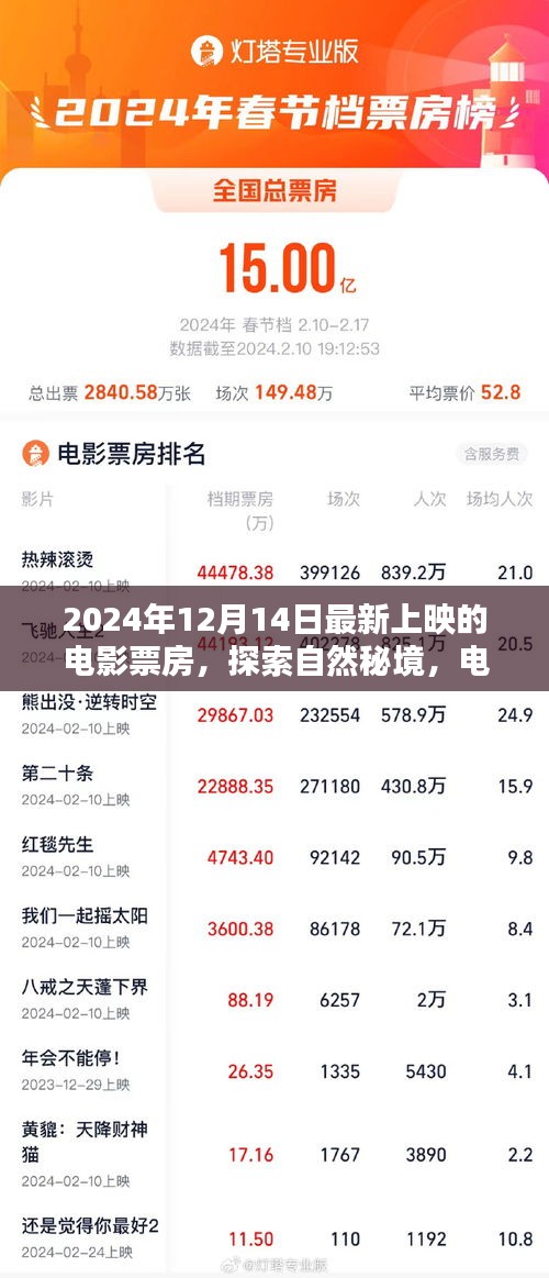 探索自然秘境，電影票房新篇章，啟程尋找內(nèi)心的寧靜與歡笑（2024年最新票房數(shù)據(jù)）