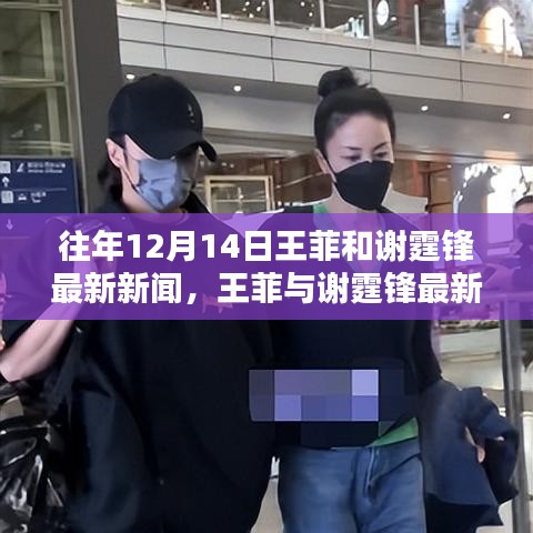 王菲與謝霆鋒最新動態(tài)揭秘，特性、體驗、競品對比與用戶群體深度解析