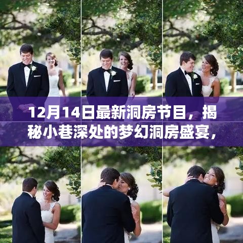 揭秘夢幻洞房盛宴，隱藏版特色小店神秘面紗下的夢幻之夜（12月14日最新洞房節(jié)目）