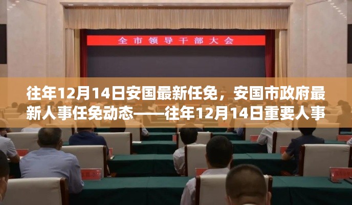 往年12月14日安國市政府人事任免動(dòng)態(tài)及重要人事調(diào)整概覽