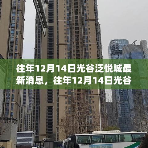 深度解讀，往年12月14日光谷泛悅城最新動態(tài)及其影響分析