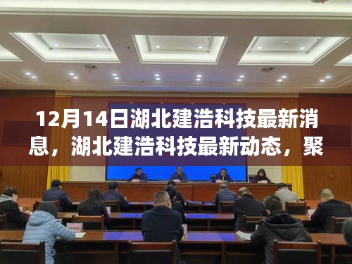 湖北建浩科技最新動態(tài)深度解析，聚焦要點，把握最新消息（12月14日更新）