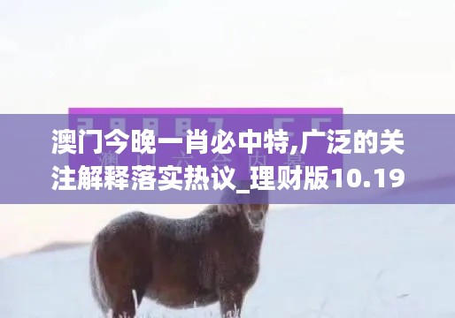 澳門(mén)今晚一肖必中特,廣泛的關(guān)注解釋落實(shí)熱議_理財(cái)版10.199
