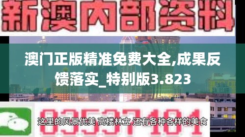 澳門正版精準免費大全,成果反饋落實_特別版3.823