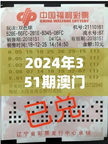 2024年351期澳門開獎(jiǎng)結(jié)果：數(shù)字的魔法與彩民的夢(mèng)想
