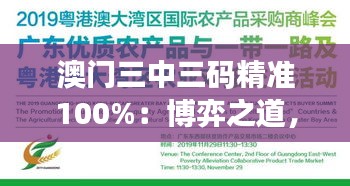 澳門三中三碼精準(zhǔn)100%：博弈之道，技巧與運(yùn)氣的完美融合