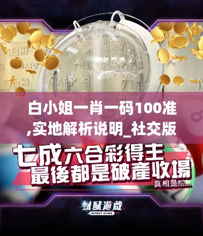 白小姐一肖一碼100準(zhǔn),實地解析說明_社交版2.112