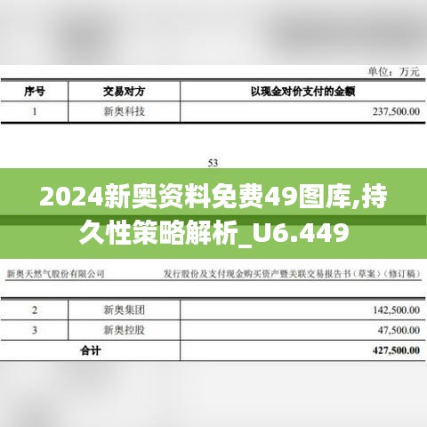 2024新奧資料免費(fèi)49圖庫,持久性策略解析_U6.449