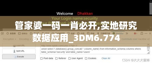 管家婆一碼一肖必開,實(shí)地研究數(shù)據(jù)應(yīng)用_3DM6.774