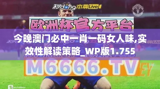 今晚澳門必中一肖一碼女人味,實效性解讀策略_WP版1.755