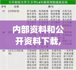內部資料和公開資料下載,確保成語解析_Essential5.357