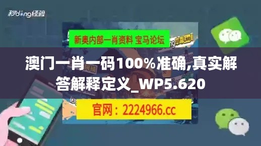 澳門一肖一碼100%準(zhǔn)確,真實(shí)解答解釋定義_WP5.620