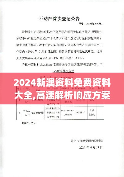 2024新澳資料免費資料大全,高速解析響應(yīng)方案_AR5.696