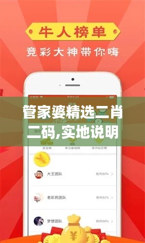管家婆精選二肖二碼,實地說明解析_專家版5.784