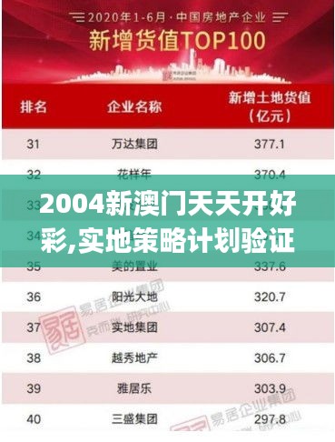 2004新澳門天天開好彩,實(shí)地策略計(jì)劃驗(yàn)證_限量版3.878