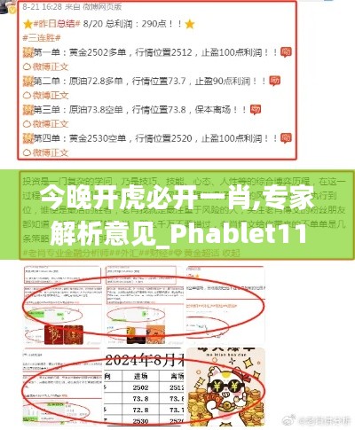 今晚開虎必開一肖,專家解析意見_Phablet110.899