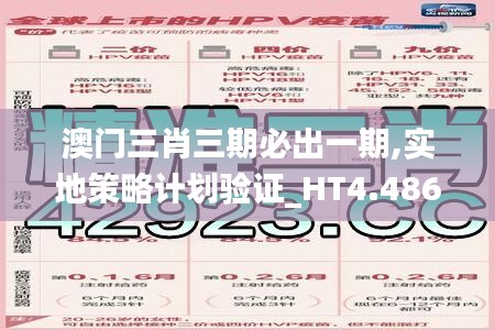 澳門三肖三期必出一期,實(shí)地策略計劃驗(yàn)證_HT4.486