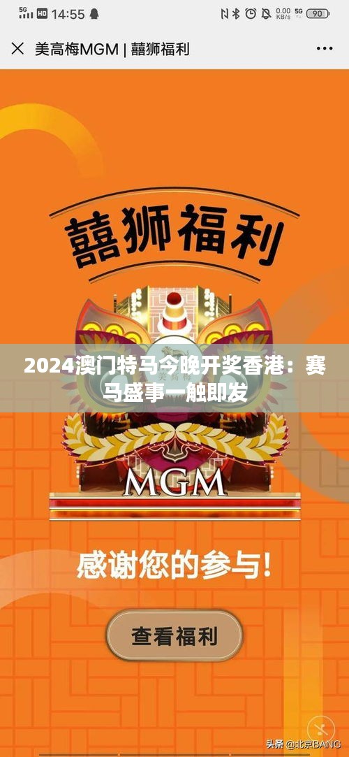 2024澳門特馬今晚開獎香港：賽馬盛事一觸即發(fā)