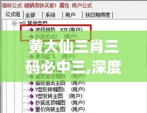 黃大仙三肖三碼必中三,深度分析解釋定義_至尊版10.973